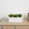 13" Agave Succulent in White Rectangular Planter
